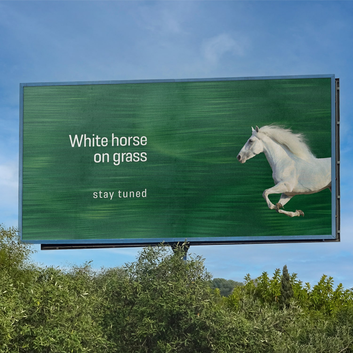 White Horse On Grass